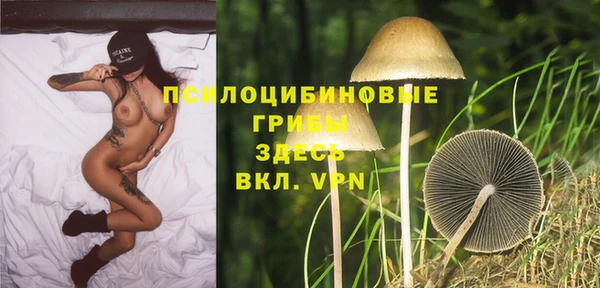 тгк Тобольск