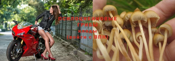 прущие крисы Балахна